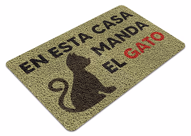 En esta casa manda el gato